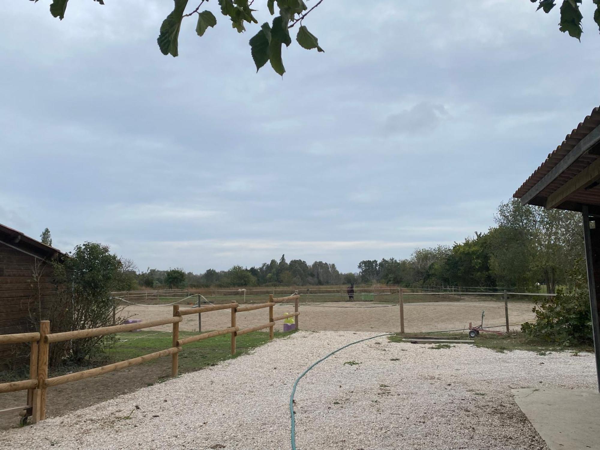 Provencal Du Mas Arnaud Holiday home *
