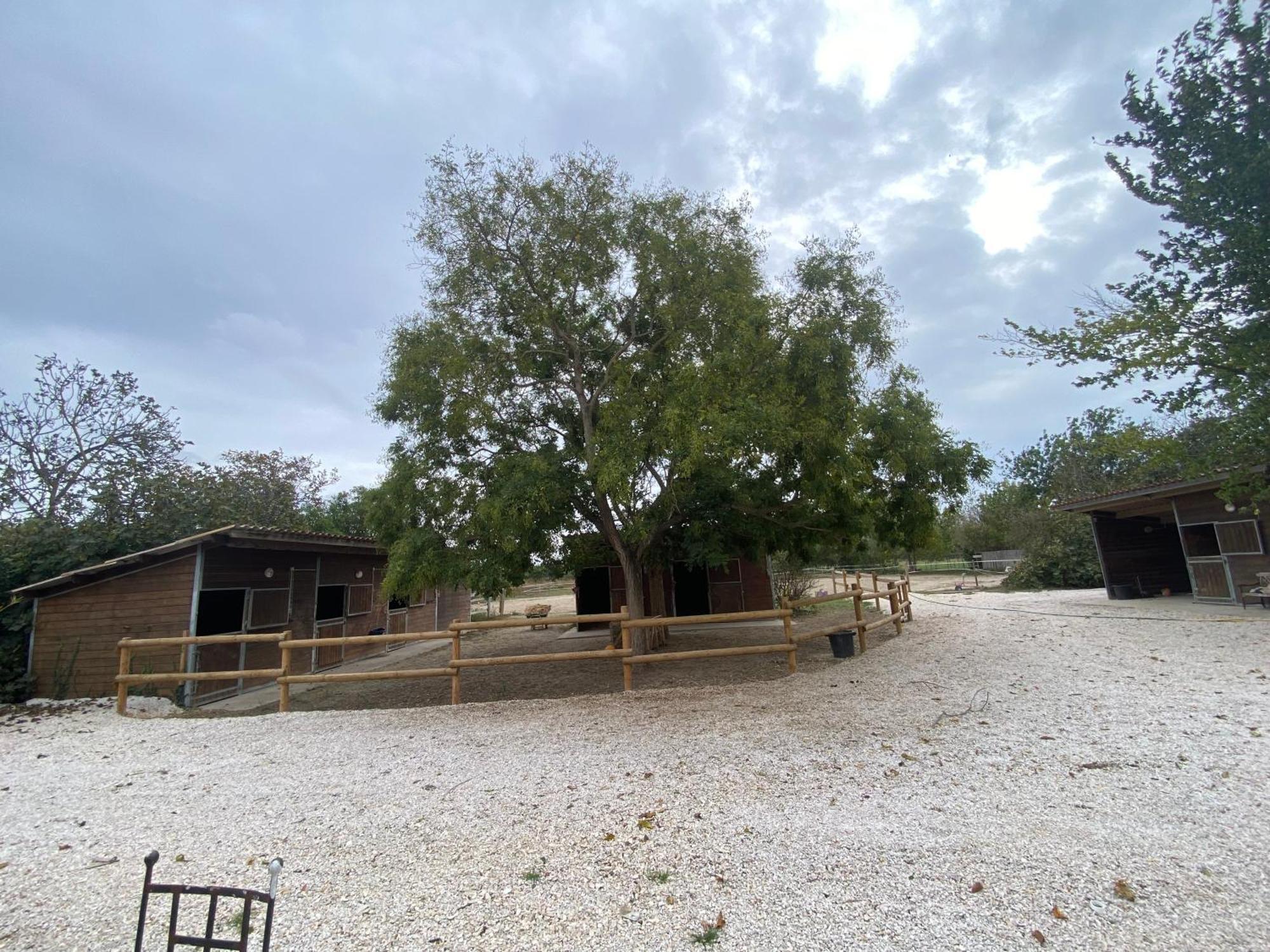 Holiday home Provencal Du Mas Arnaud