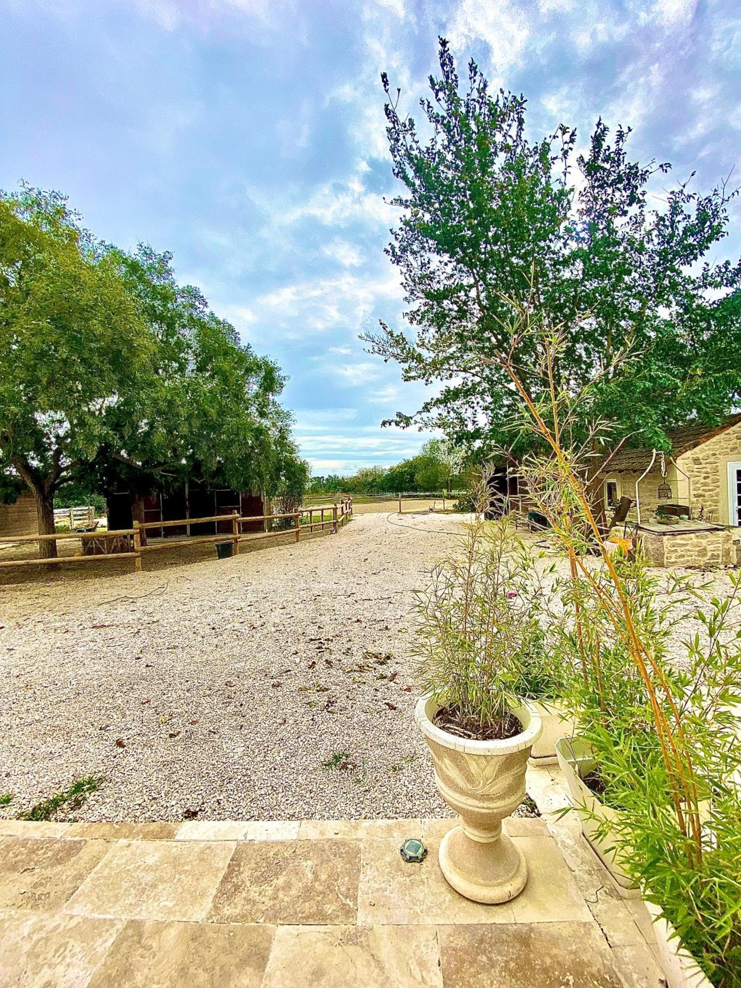Provencal Du Mas Arnaud *