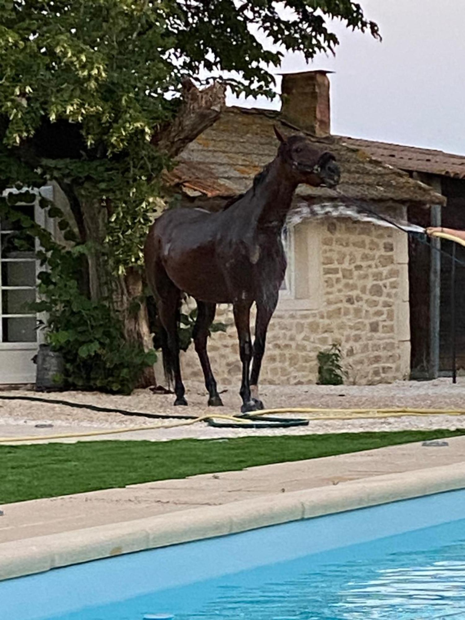 Provencal Du Mas Arnaud Ferienhaus *